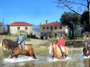 Quinta Do Fijo